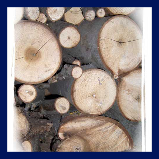 images/Holz_Pellets.png#joomlaImage://local-images/Holz_Pellets.png?width=548&height=548