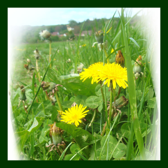 images/Thumb-WRL.png#joomlaImage://local-images/Thumb-WRL.png?width=548&height=548