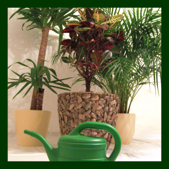 images/Thumb_RWN.png#joomlaImage://local-images/Thumb_RWN.png?width=548&height=548